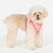 PINKAHOLIC ANNIKA VEST DOG HARNESS