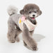PINKAHOLIC ALISA VEST DOG HARNESS