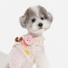 PINKAHOLIC ALISA VEST DOG HARNESS