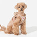 PINKAHOLIC ALISA VEST DOG HARNESS