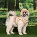 PINKAHOLIC LILIBETH VEST DOG HARNESS