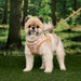 PINKAHOLIC LILIBETH VEST DOG HARNESS