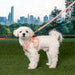 PINKAHOLIC LILIBETH VEST DOG HARNESS