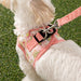 PINKAHOLIC LILIBETH VEST DOG HARNESS