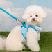 PINKAHOLIC DAVINA VEST DOG HARNESS