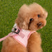 PINKAHOLIC DAVINA VEST DOG HARNESS