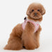 PINKAHOLIC DAVINA VEST DOG HARNESS