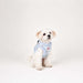 PINKAHOLIC BRONWEN VEST DOG HARNESS