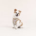 PINKAHOLIC BRONWEN VEST DOG HARNESS