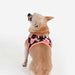 PINKAHOLIC SOLENE VEST DOG HARNESS