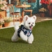 PINKAHOLIC SOLENE VEST DOG HARNESS