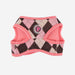 PINKAHOLIC SOLENE VEST DOG HARNESS