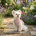PINKAHOLIC IONE VEST DOG HARNESS