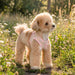 PINKAHOLIC IONE VEST DOG HARNESS