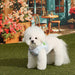 PINKAHOLIC KIKI VEST DOG HARNES