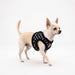 PINKAHOLIC AURIA DOG HARNESS