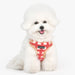 PUPPIA STEFAN DOG HARNESS C