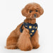 PUPPIA STEFAN DOG HARNESS C