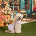 PINKAHOLIC IONE DRESS DOG HARNESS