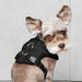 PUPPIA SOFT DOG HARNESS E