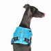 PUPPIA SOFT DOG HARNESS E