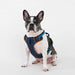 FLEX CORE DOG HARNESS
