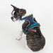 FLEX CORE DOG HARNESS