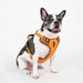 FLEX CORE DOG HARNESS