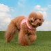 PINKAHOLIC MABEL VEST DOG HARNESS