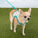 PINKAHOLIC AMABEL VEST DOG HARNESS