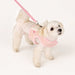 PINKAHOLIC PELIAH PINKA DOG HARNESS