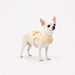 PINKAHOLIC PELIAH PINKA DOG HARNESS