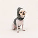 PINKAHOLIC ITZEL PINKA DOG HARNESS
