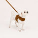 PINKAHOLIC EMMIE PINKA DOG HARNESS
