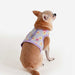 PINKAHOLIC TRIXIE PINKA VEST DOG HARNES