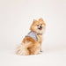 PINKAHOLIC AURIA PINKA DOG HARNESS