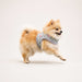 PINKAHOLIC AURIA PINKA DOG HARNESS