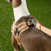 PUPPIA CORWIN ACTIVE DOG HARNESS