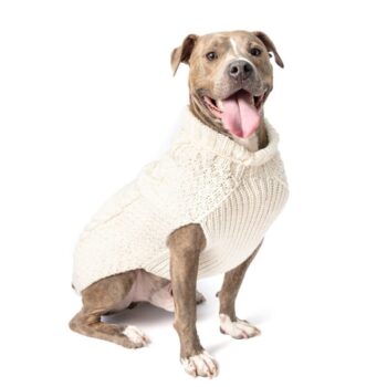 NATURAL CABLE WOOL DOG SWEATER
