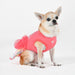 Pinkaholic Diana Dog Shirt