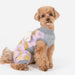 PINKAHOLIC GIGI DOG DRESS/SHIRT