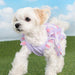 PINKAHOLIC SURI DOG DRESS/SHIRT