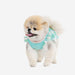PINKAHOLIC SURI DOG DRESS/SHIRT