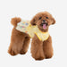 PINKAHOLIC ALICE DOG DRESS/SHIRT