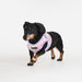 PUPPIA NOLA VEST DOG HARNESS