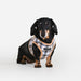 PUPPIA WINDSOR VEST DOG HARNESS