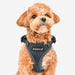 PUPPIA RITEFIT DOG HARNESS