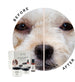 EYE ENVY STAIN REMOVER STARTER KIT FOR DOGS