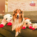 Multipet Lamb Chop Plush Dog Toy Jumbo 24"