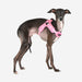 PUPPIA SOFT ACTIVE DOG HARNESS